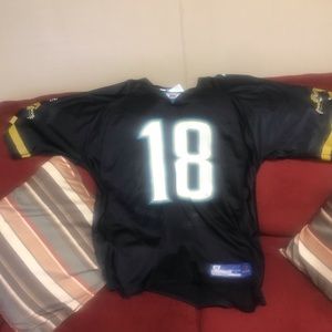 M Jones. Jacksonville Jaguars #18 Jersey